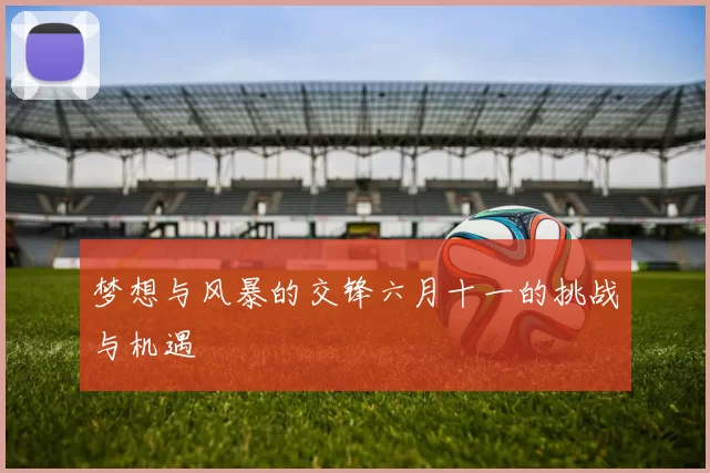 梦想与风暴的交锋六月十一的挑战与机遇