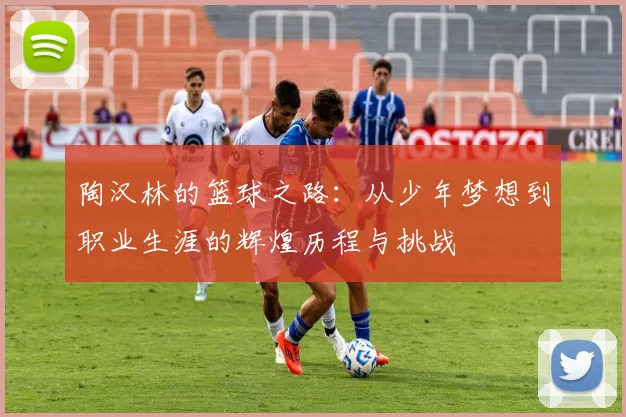 陶汉林的篮球之路：从少年梦想到职业生涯的辉煌历程与挑战