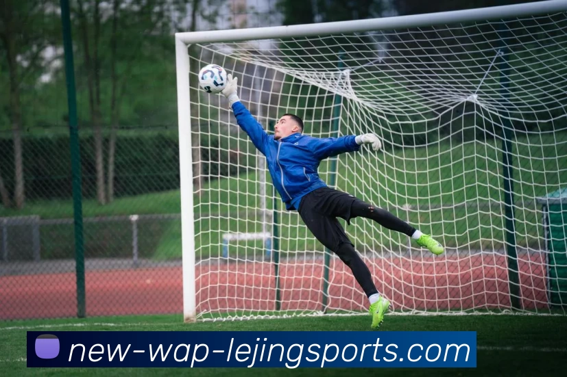 乐竞体育平台生态图